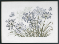 Grauer Agapanthus R5632 58x42cm