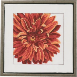 Dahlia 30x30cm