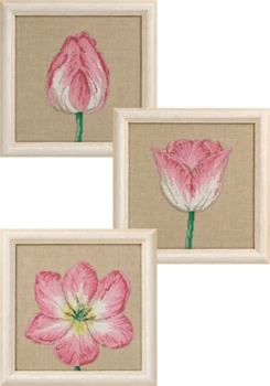 Tulpaner i faser 3 x25x25cm