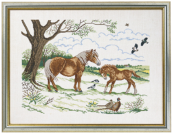 Heste med føl        45x60cm