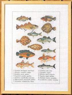 Fisch 41x56 5676