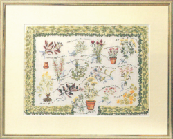 Herbs* 52x42 5601/00
