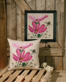 Päiväkakkara 60x60cm