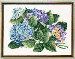 Hortensie            45x60cm