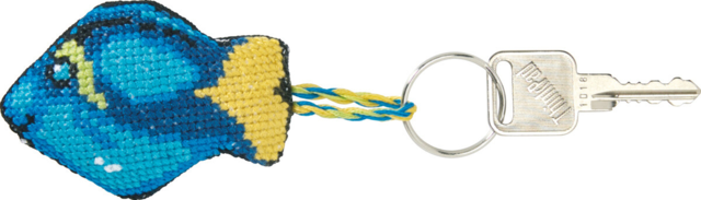 Palett Surgeonfish 7x5cm