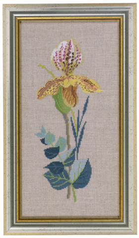 Yellow orchid 20x35cm