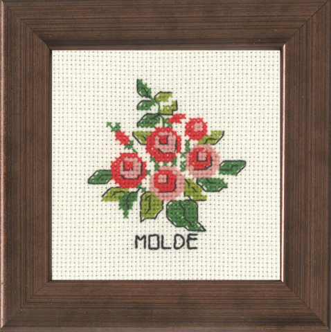 Molde        10x10cm R5370
