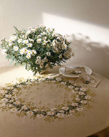 Hvid Okseøje         130x130cm