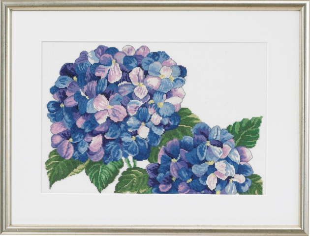 Hortensia R5318 55x41cm
