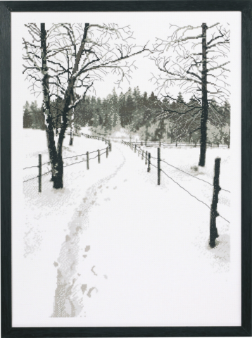 Natura grafica 42x58cm