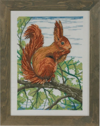 Squirrel R5492 31x41cm